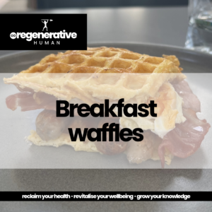 carnivore breakfast waffles recipe