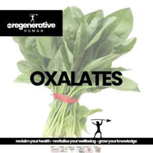 What are oxalates