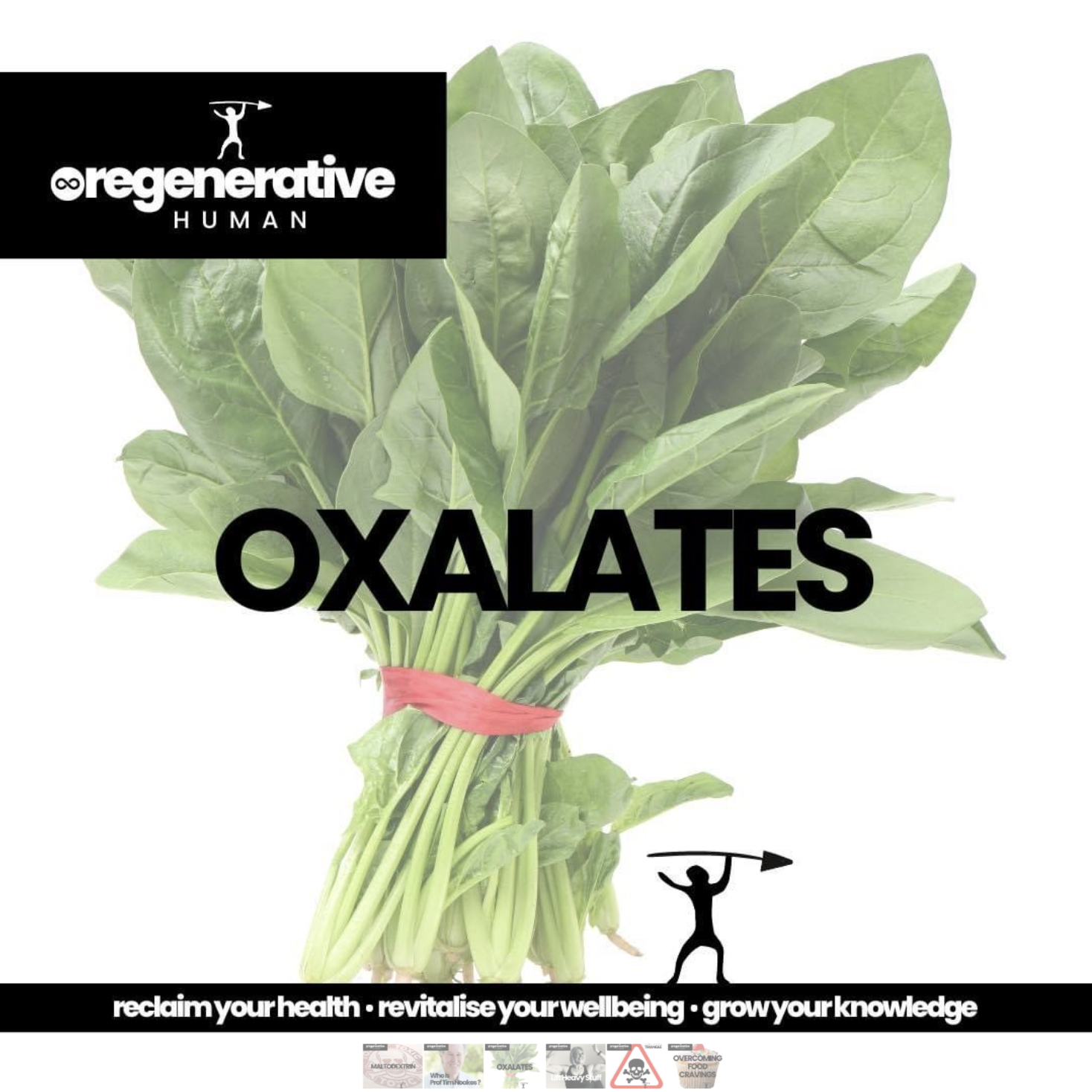 What are oxalates?